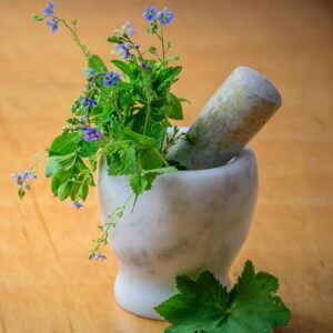 Ayurvedic Physician Consultancy